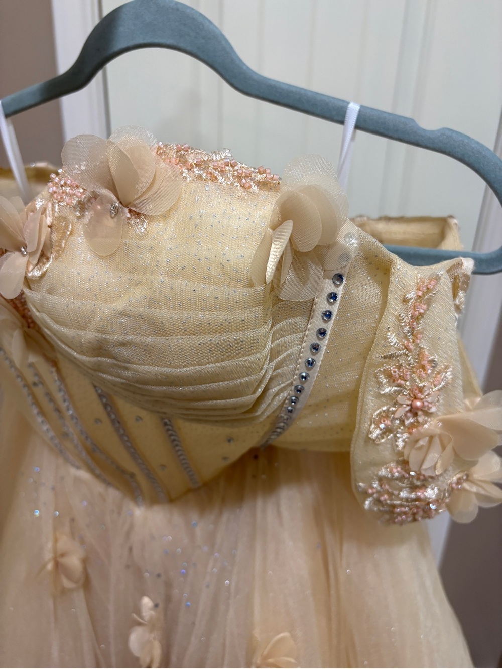 Champagne Tulle Ball Gown with Floral Appliqués - Picture 11 of 11